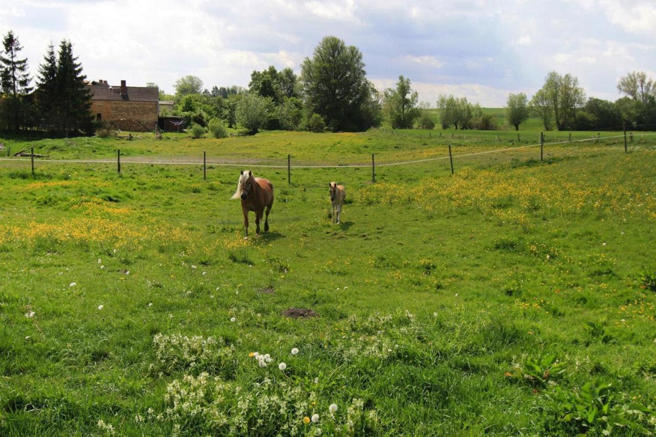 Vacation Home, Zahrensdorf Bagian luar foto